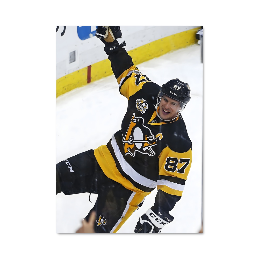 Poster L'Élan de Sidney